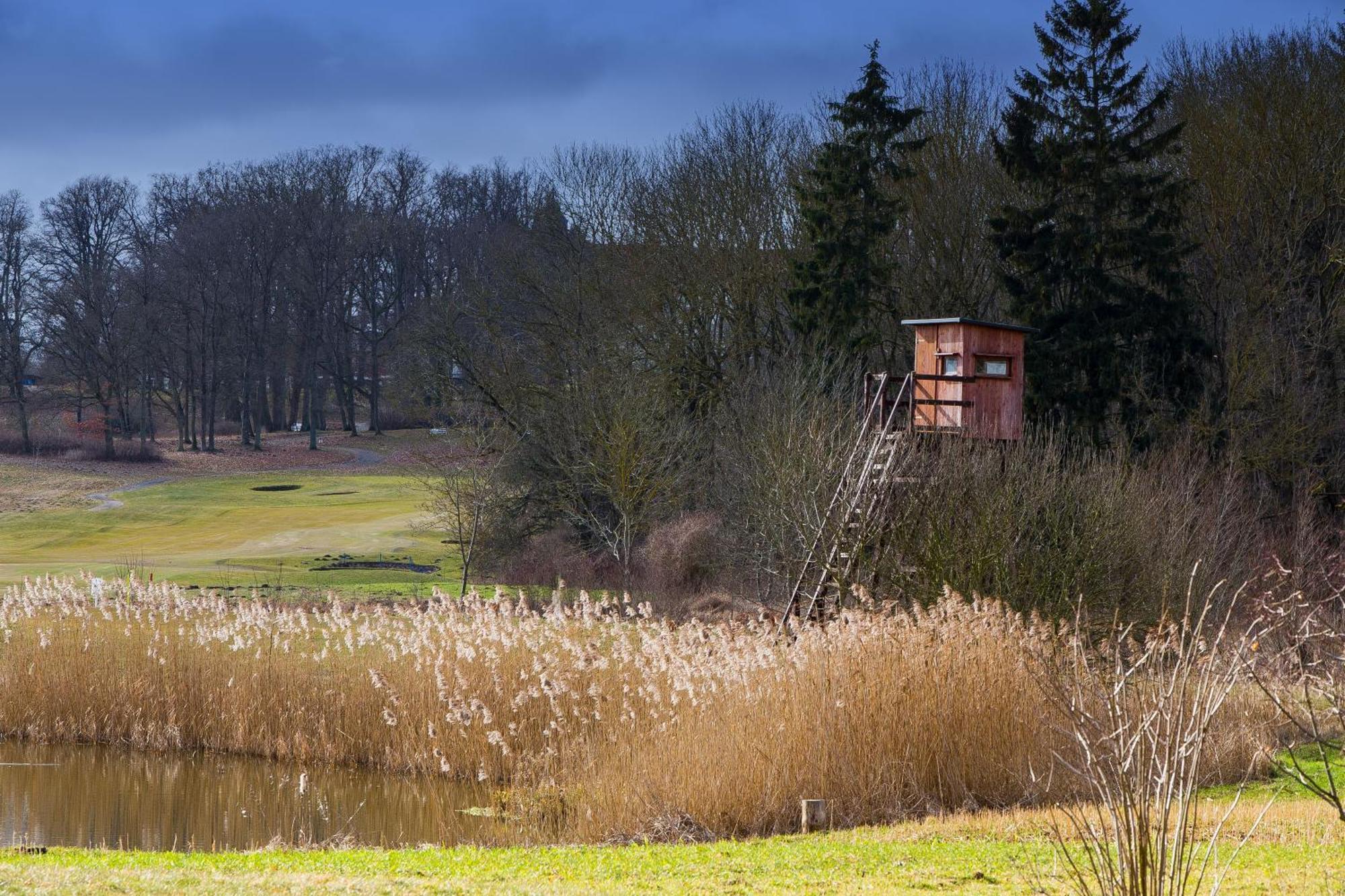 Tiny House Fleesensee Mit Eigenem Garten Und Nur Wenige Meter Vom Seeufer Göhren-Lebbin Exteriör bild